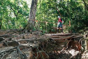 BIB: 
                            <button type="button" onclick="openModal(27800146)" class="btn btn-primary btn-sm float-right btn-popup" data-toggle="modal" data-target=".modal-high-quality">
                        <i class="fas fa-shopping-cart"></i> Add to Cart
                    </button>
                                            <button type="button" onclick="isThisMe(27800146, true)" class="btn btn-success btn-sm float-right btn-popup btn-isme hidden" data-toggle="tooltip" data-placement="bottom" title="นี่คือรูปของคุณใช่ไหม คลิกที่นี่เพื่อเอาเข้าอัลบั้ม">
                        <i class="fas fa-plus"></i> Add to album
                    </button>
                    <button type="button" onclick="isThisMe(27800146, false)" class="btn btn-warning btn-sm float-right btn-popup btn-isnotme hidden">
                        <i class="fas fa-ban"></i> Remove from album
                    </button>